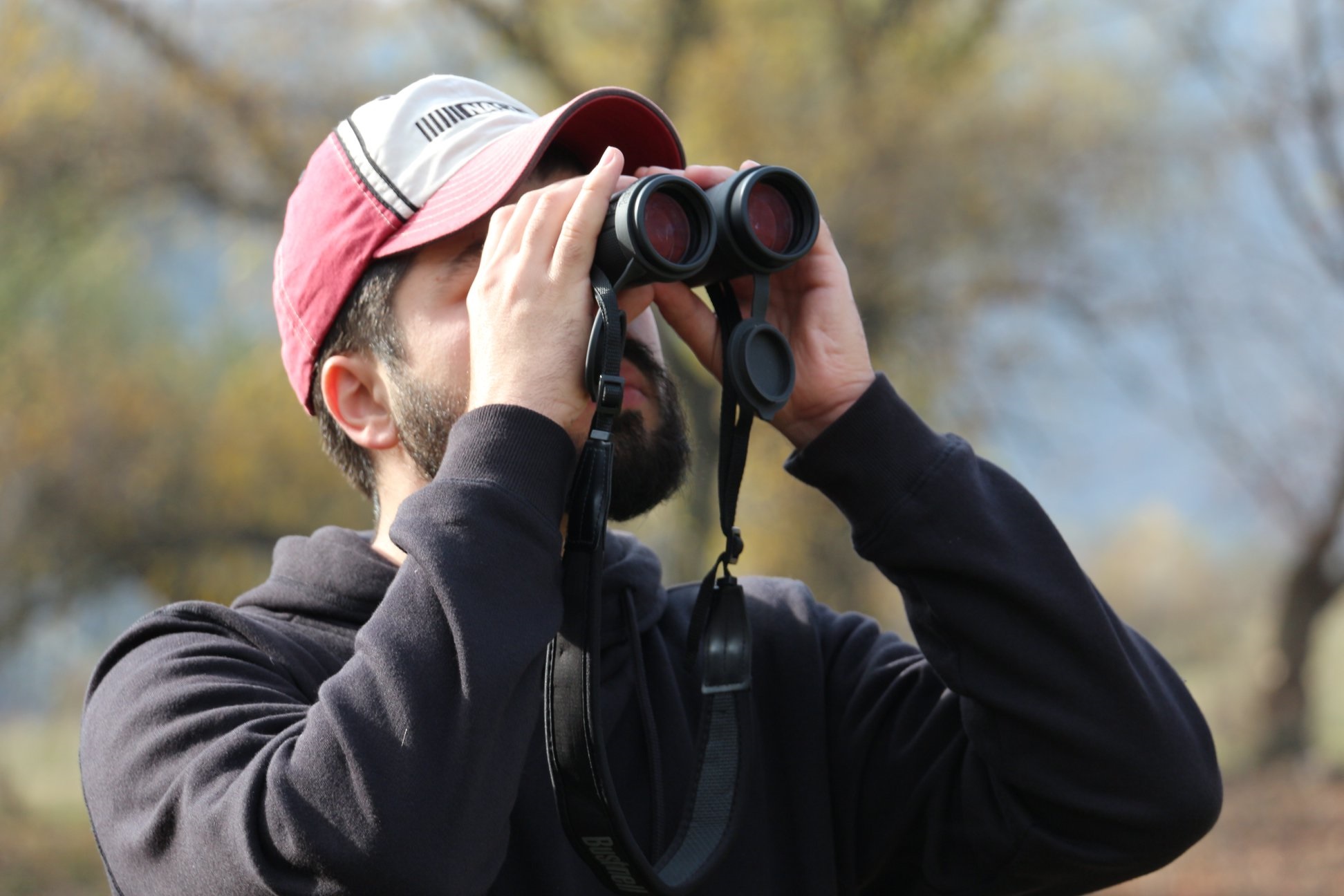 Birdwatching Moldova