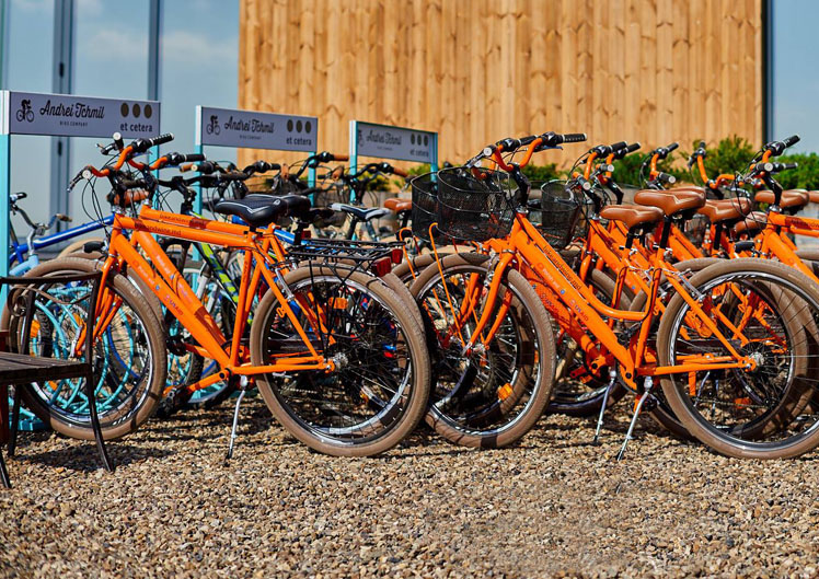 EtCetera_Winery_Bike_Wine