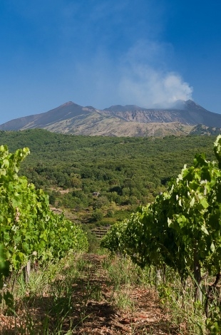 Winetours.md speaker în cadrul celei mai mari conferințe internaționale în domeniul turismului vinicol