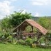 Guesthouse Casa Părintească