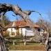 Guesthouse Vatra Strămoșească