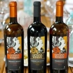 Gitana Winery