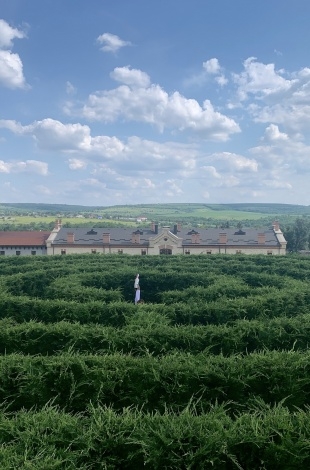 Visit the first evergreen labyrinth in Moldova by the Castle Mimi!