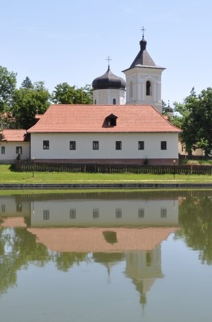 Mănăstirea Căpriana