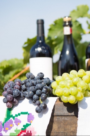 Moldova will host the World Wine Tourism Conference