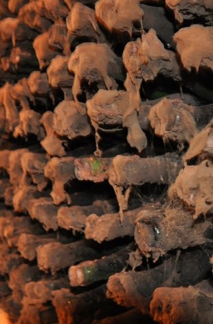 Mănăstirea Căpriana & Mileștii Mici Winery