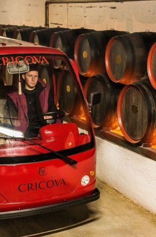 Cricova Winery