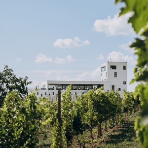 Poiana Winery