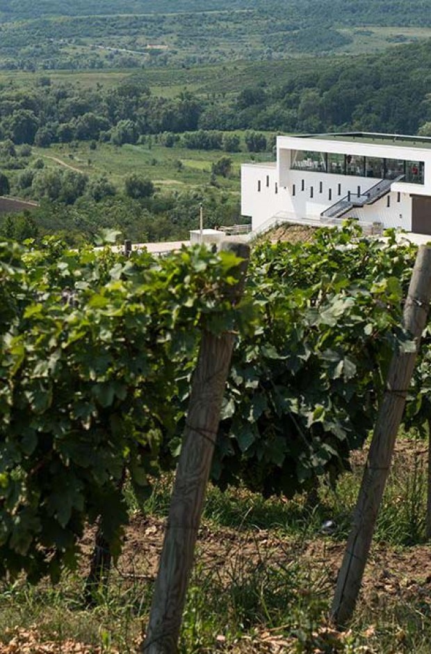 Vinăria Poiana