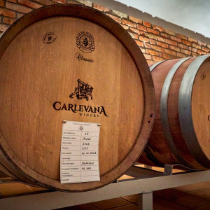 Vinăria Carlevana